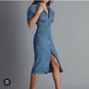 Retrofete nikita Blue Denim dress